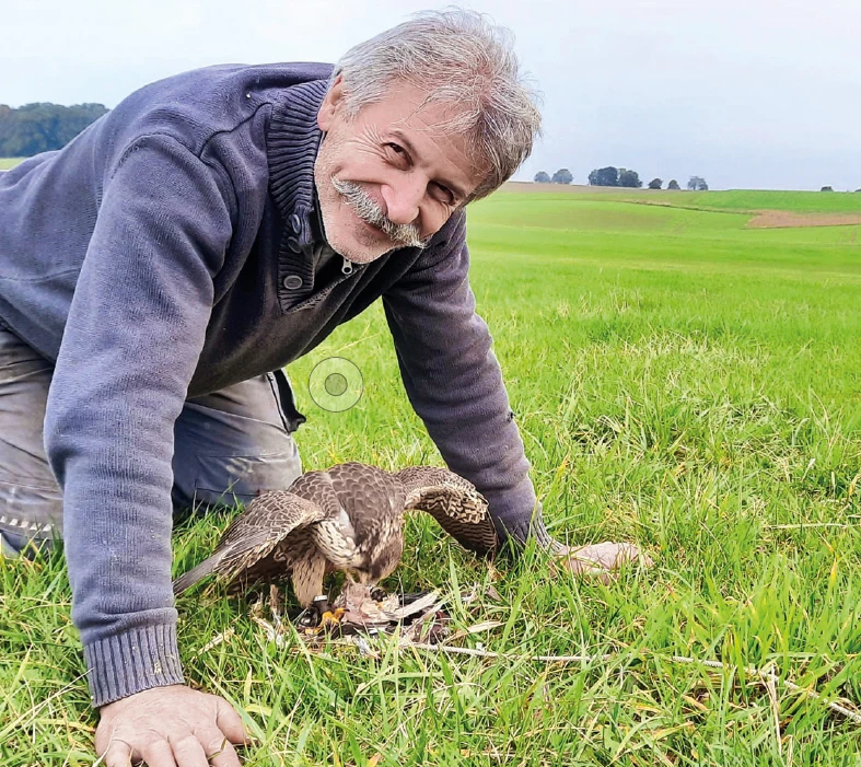 Falkner Johannes Seemayer und einer seiner Greifvögel.