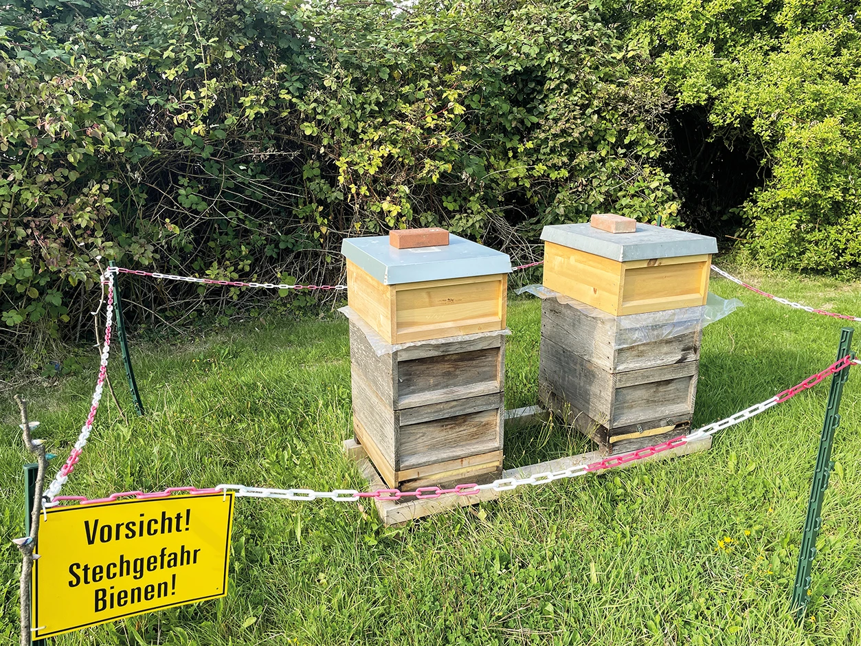 Bienenstöcke