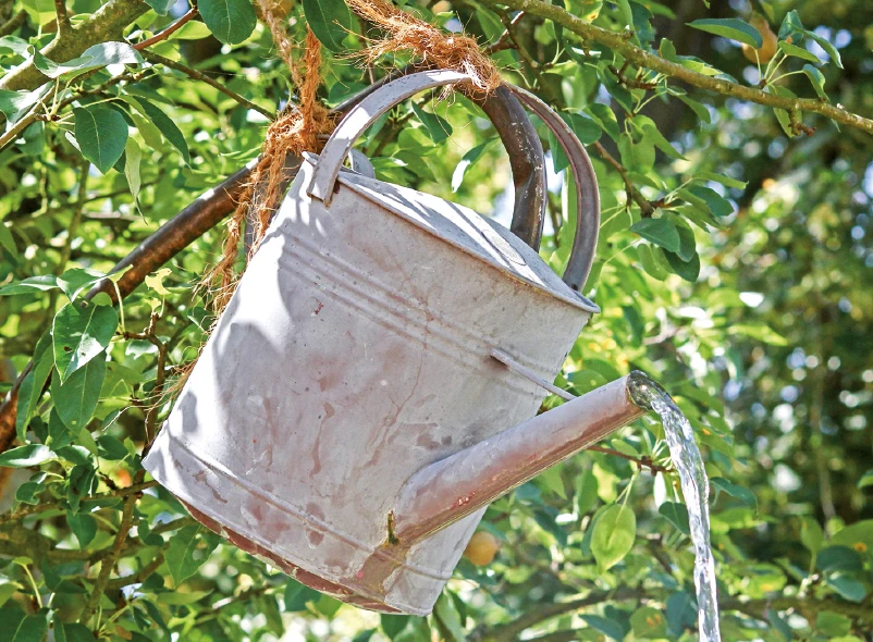 Eimer zur Bewässerung im Garten
