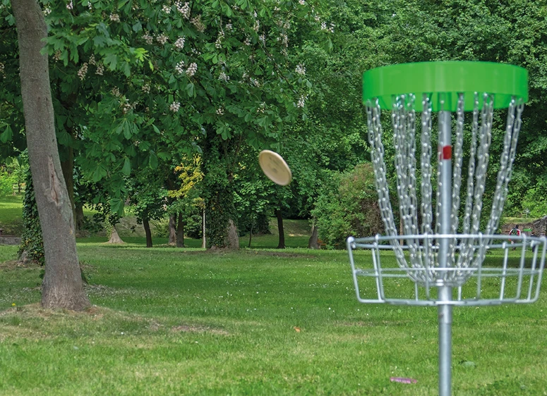 Disc-Golf