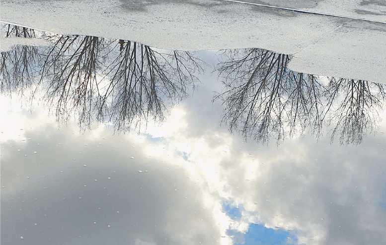 Spiegelung in Straßenpfütze