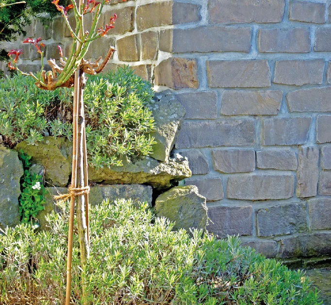 Mauer aus Naturstein