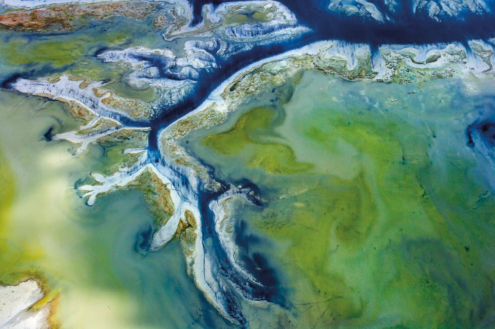 Fotografie von J. Henry Fair