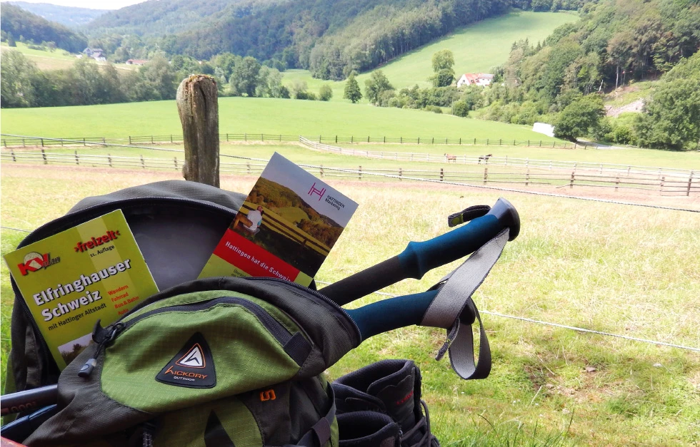Blick ins Grüne