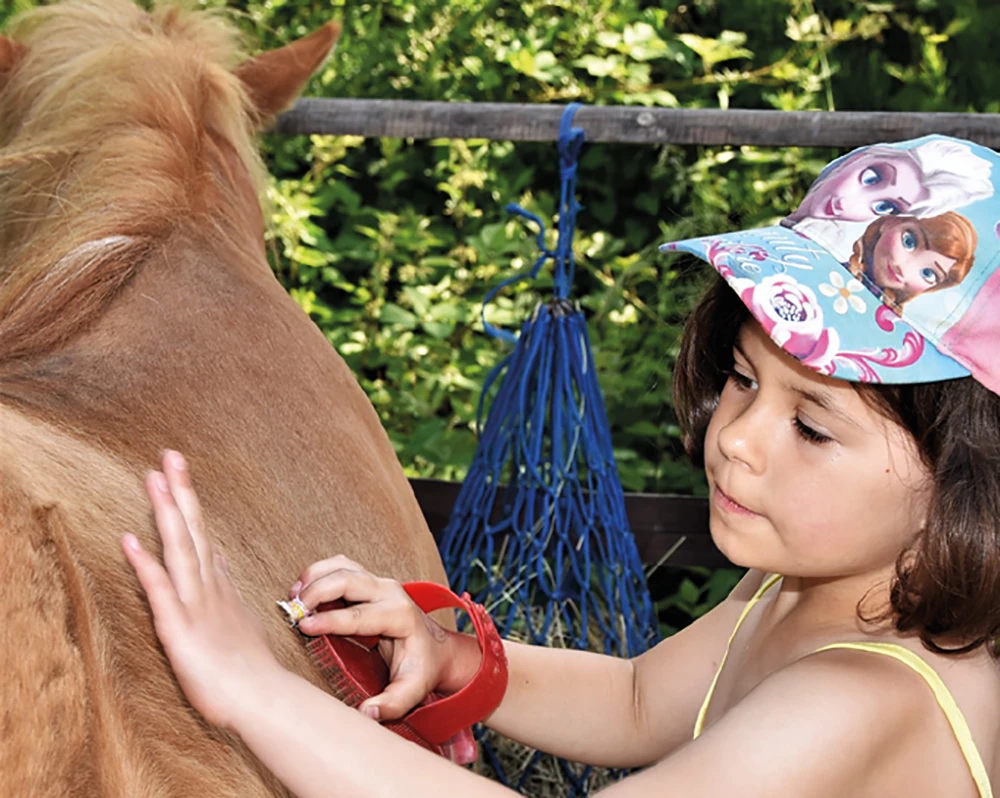 Kind striegelt Pony