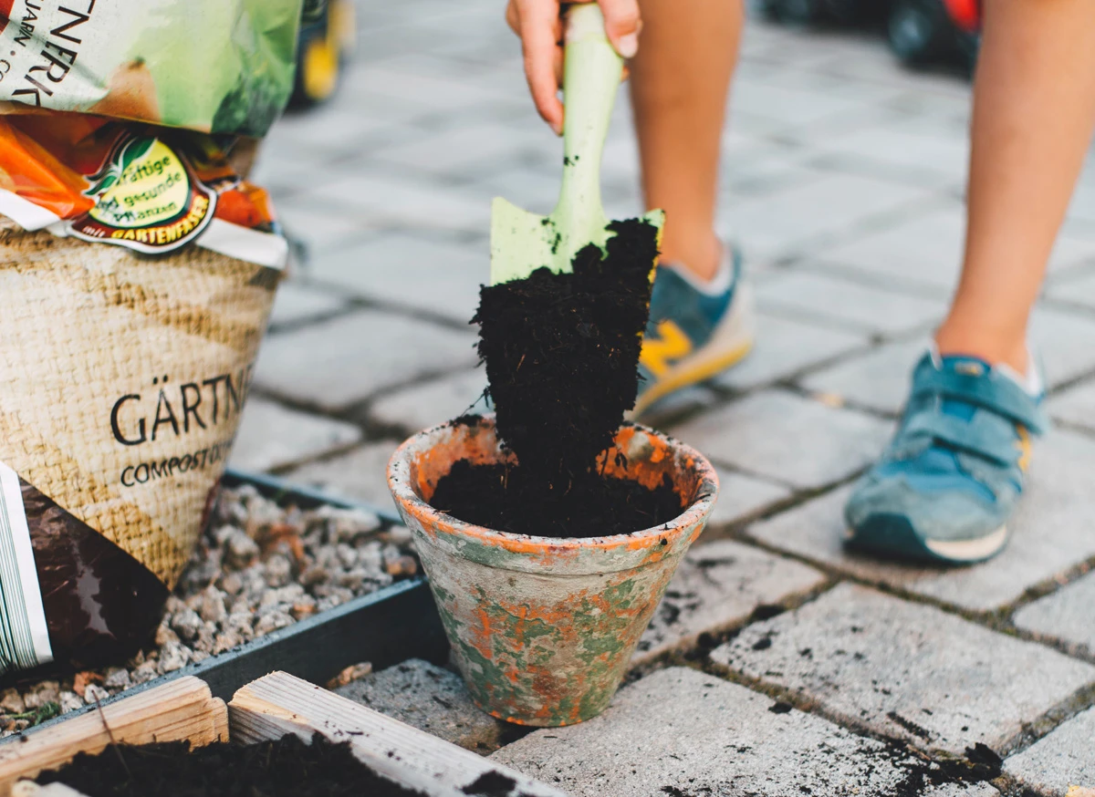 Urban Gardening