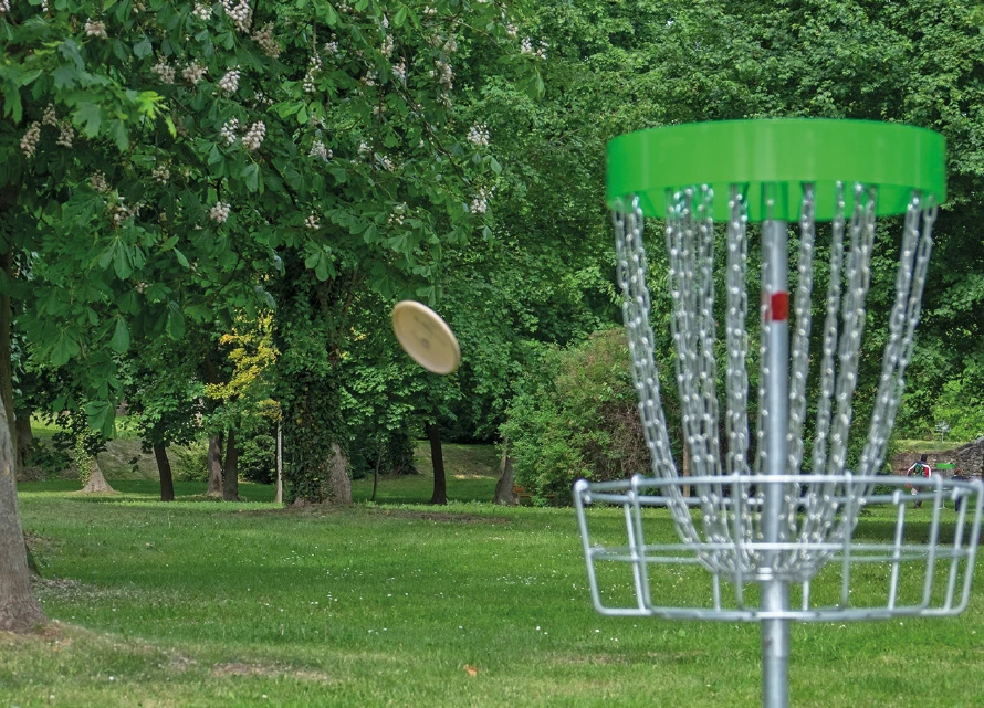 Discgolf-Korb