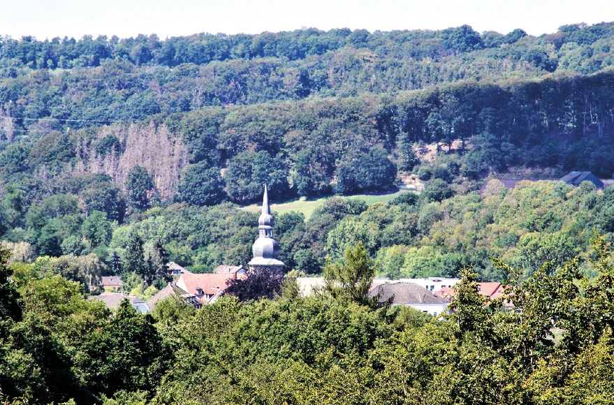 Baumschäden in Sprockhövel