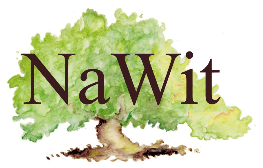 WIT-NaWit.jpg