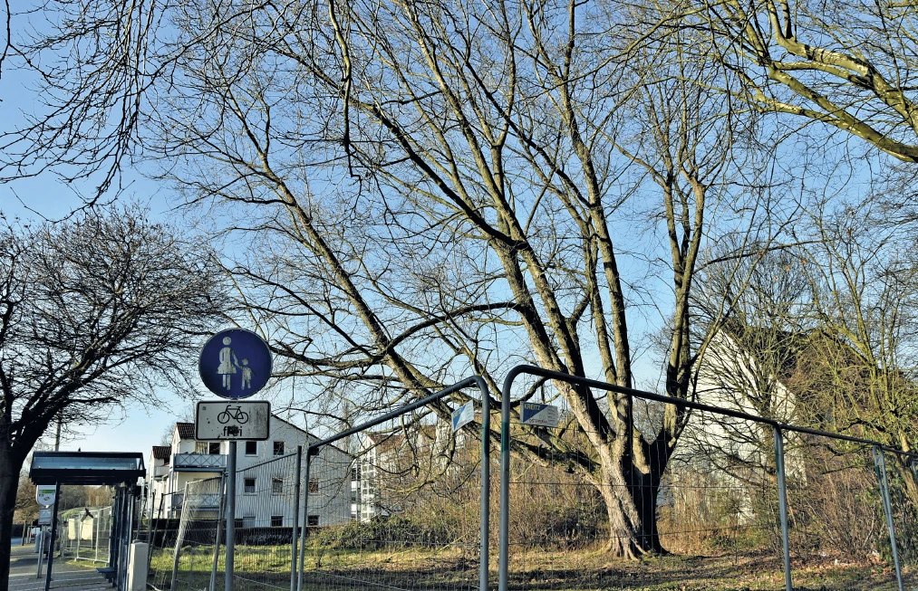 Zukünftiger Bauplatz?