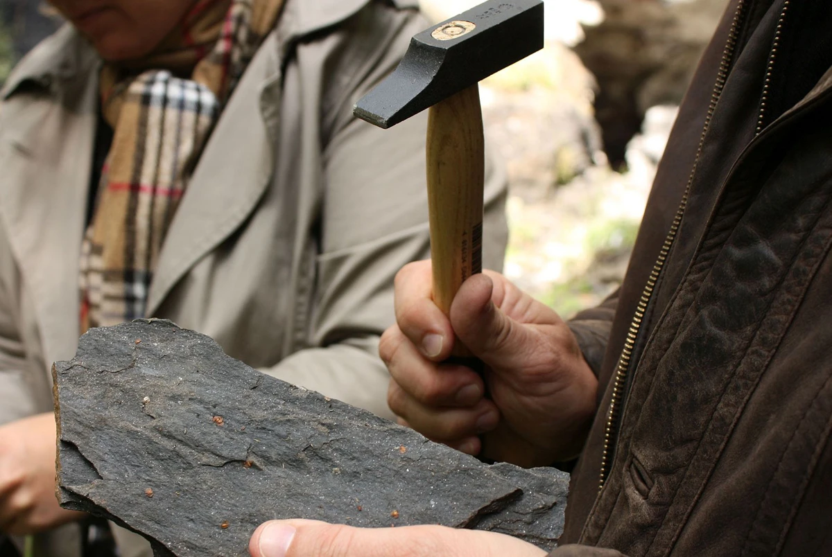 Bei der Geologieführung erkunden Besucher*innen Bodenschätze wie Kohle, Schieferton und Sandstein