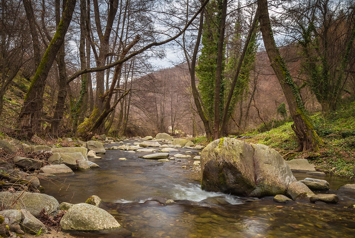 Bachlauf