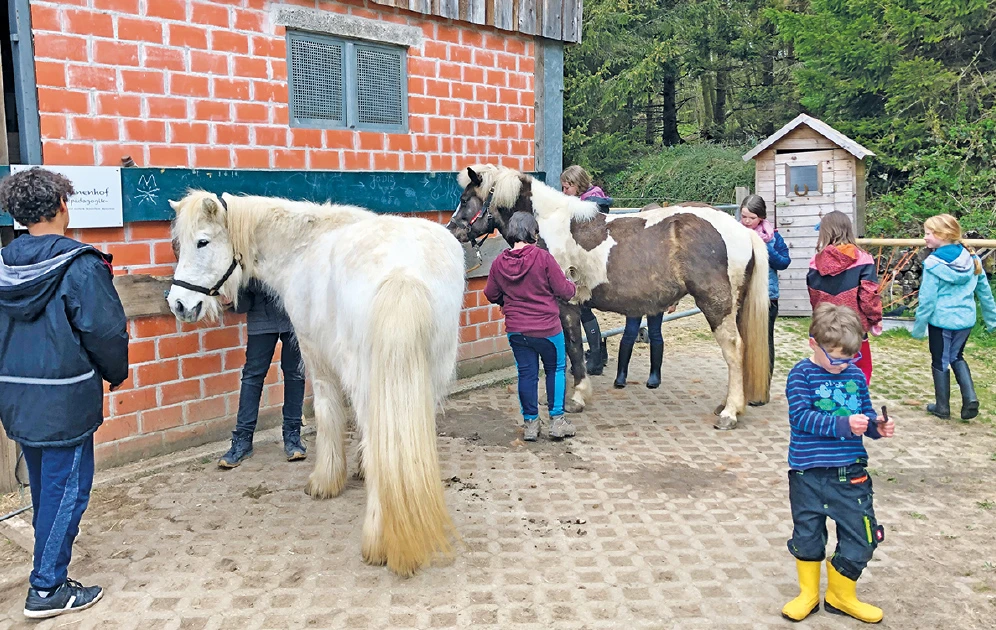Kinder und Pferde