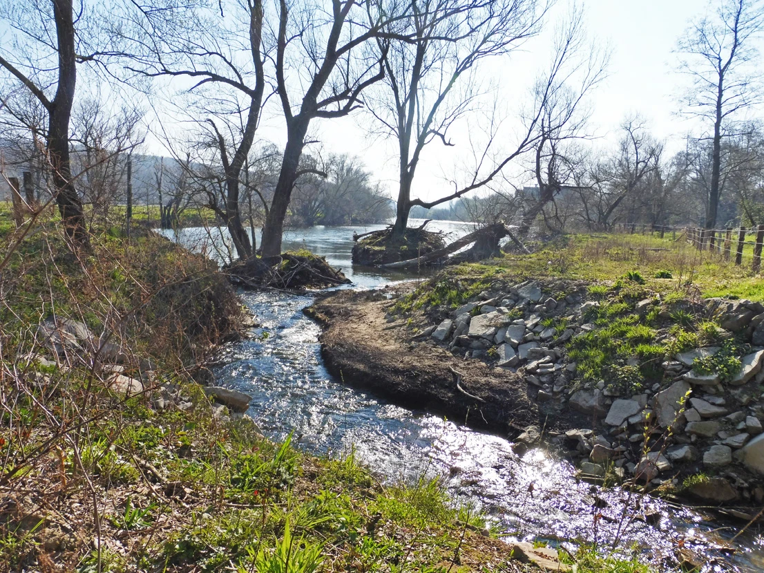 Elbsche Zufluss zur Ruhr
