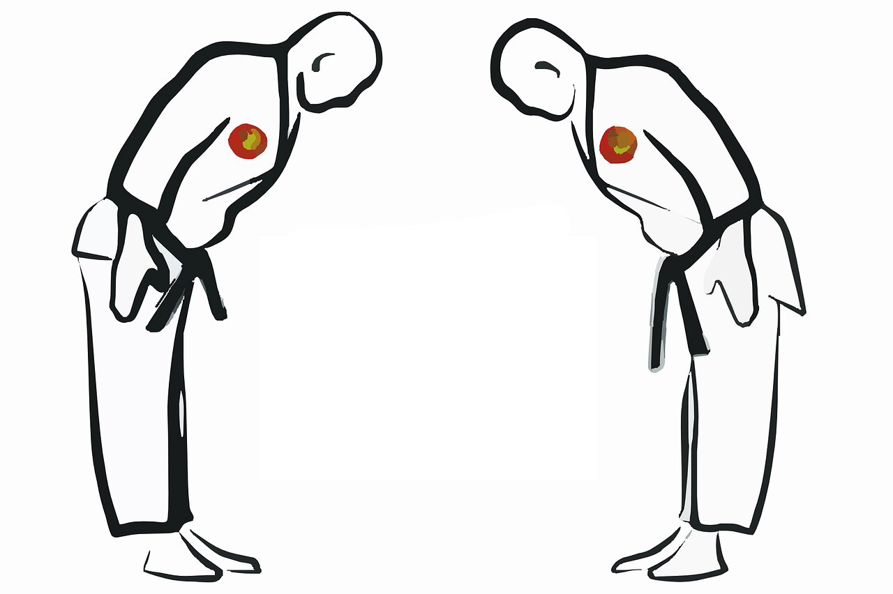 SON-BRN-Kampfsport-Judo-Pixabay.jpg