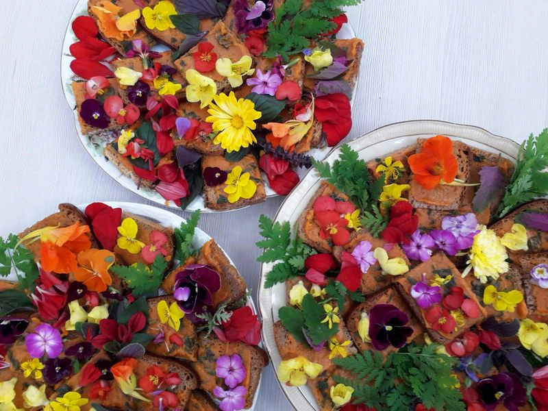 Kräuter/Blumen