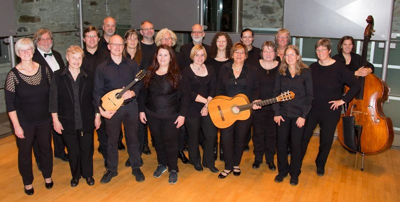 Orchester Zupfmusiker