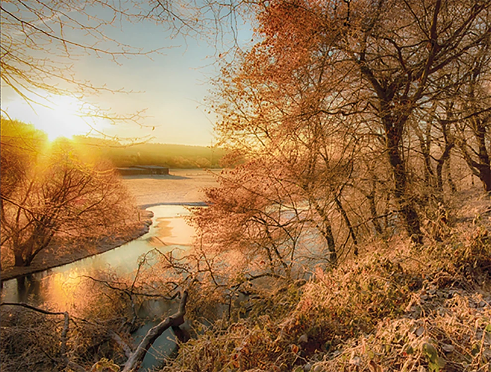 Ausschnitt aus einem Foto von T. Bewi.