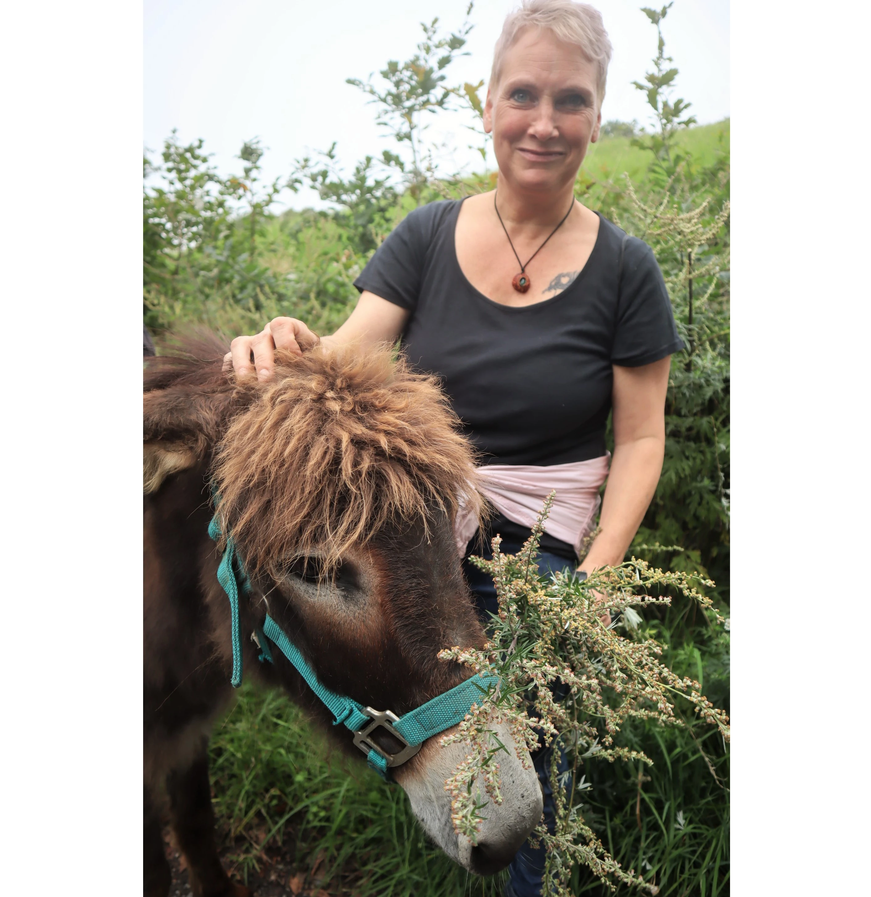 Caritas-Klientin Judith fühlt sich sichtlich wohl bei der Therapie mit Eselsdame Lotte