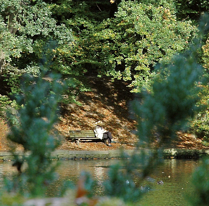 Hammerteich in Witten