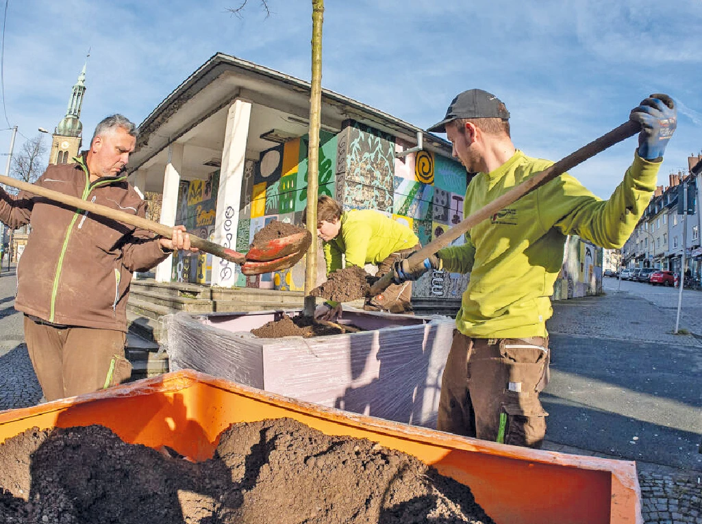 Leute, die Kübel aufstellen
