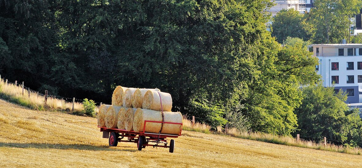 SPR-Landwirte-Sommer-Heukarren-Okt2024.jpg