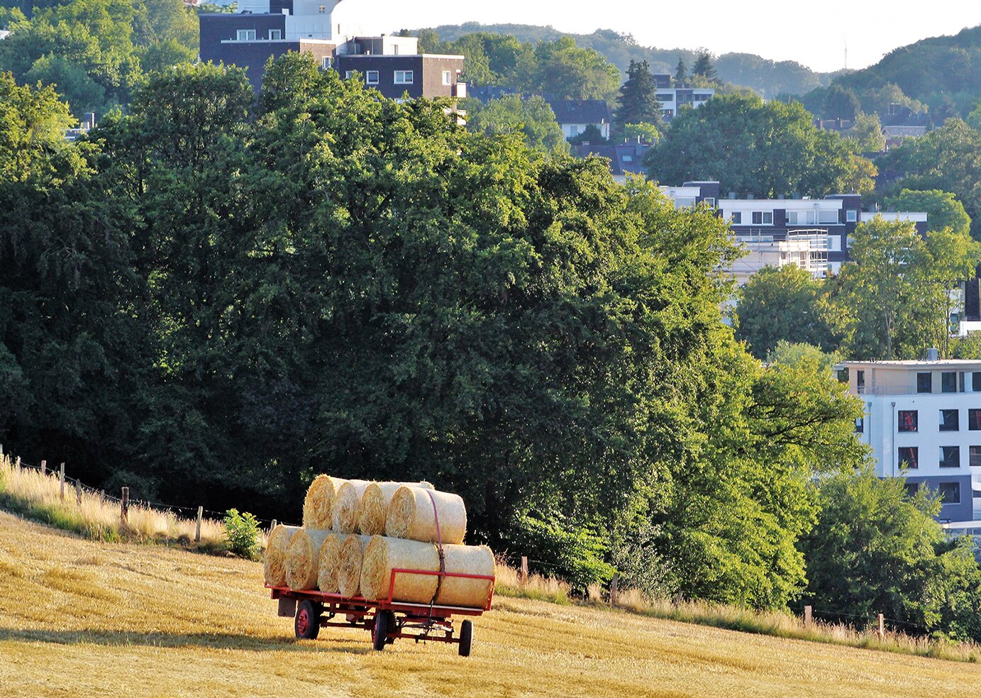 SPR-Landwirte-Sommer-Heukarren-Okt2024.jpg