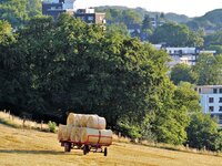 SPR-Landwirte-Sommer-Heukarren-Okt2024.jpg