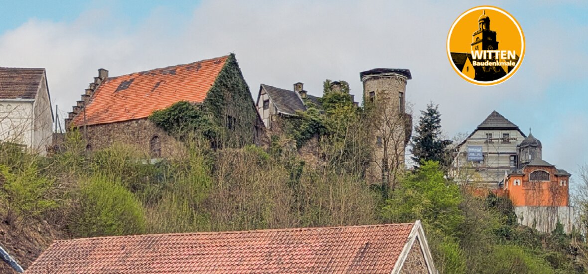 WIT-Steinhausen-Mai2025.jpg